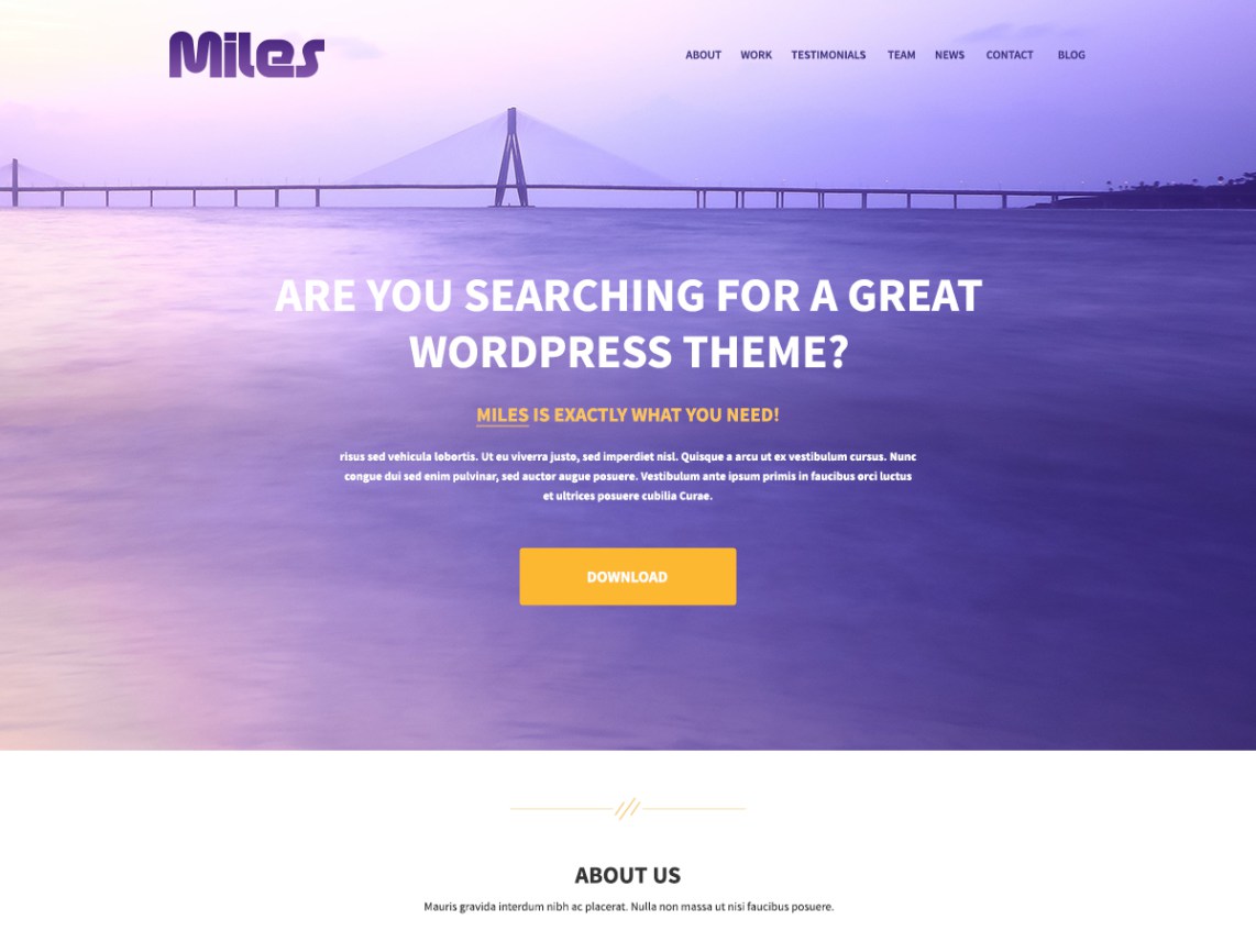 Miles Lite - Tania strona internetowa wizytówkowa