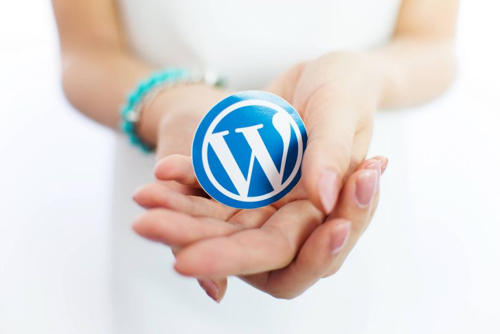  Jaki szablon WordPress wybrać – darmowy, czy płatny?