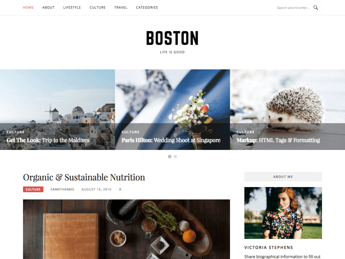 Boston - Najlepsze szablony blogowe do WordPressa - za darmo