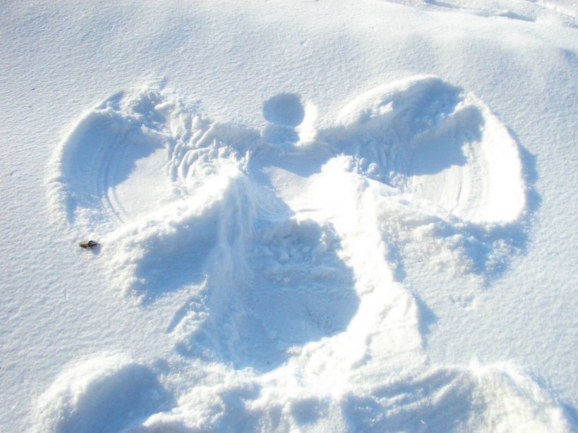 Orzeł w śniegu - Co można robić w Czechach zimą - 15 atrakcji w Jańskich Łaźniach